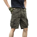 Shorts Legacy