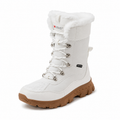 Bota Vorik