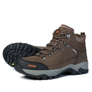 Bota Drakar