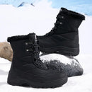 Bota Gelaris