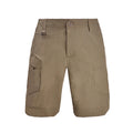 Shorts Sentinel