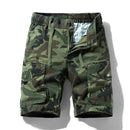 Bermuda Harald - Mundo Montanha