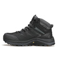 Bota Frellis
