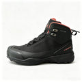 Bota Aris