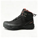 Bota Aris